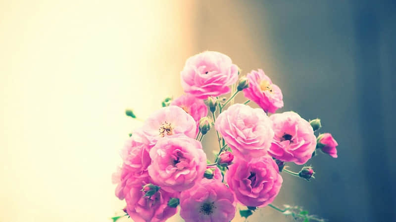 “除夕夜九宫格朋友圈????很??????”??_wishdown.com “除夕夜九宫格朋友圈????很??????”??_wishdown.com