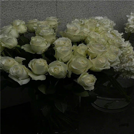 �˸��������ַ�������(��ѡ100��)