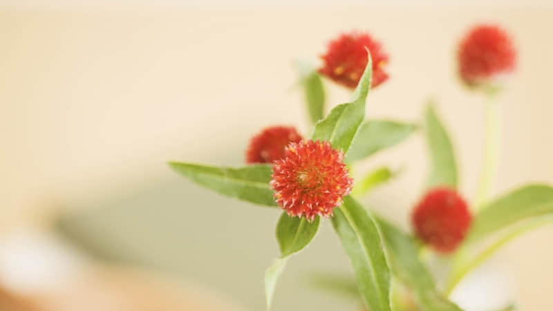 �� ���ų��������?��?Ȧ?��������Ŀ��