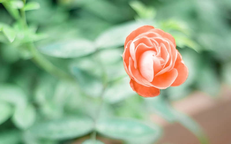 ��10�� �˼����ѵ�����Ȧ�İ���