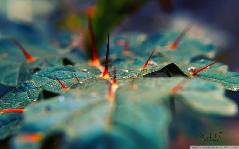 “10句 人间清醒的朋友圈文案”_wishdown.com “10句 人间清醒的朋友圈文案”_wishdown.com