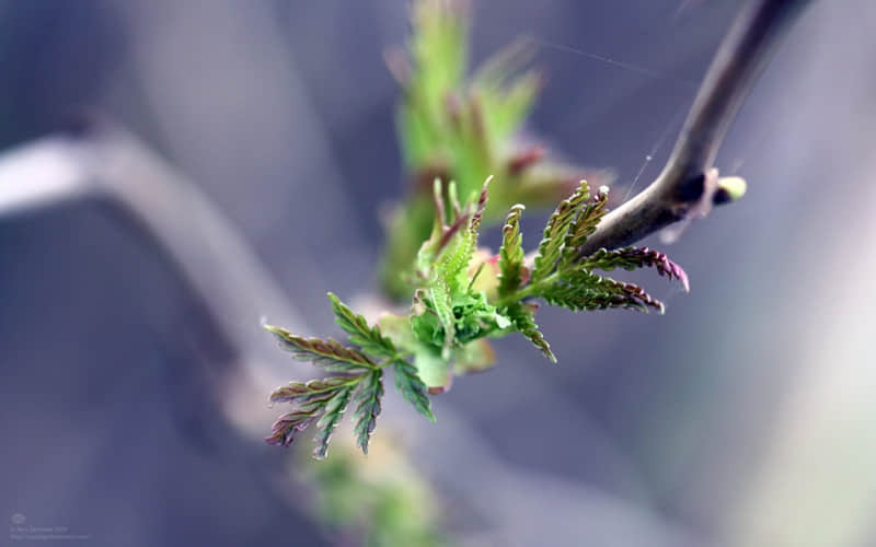 “10句 人间清醒的朋友圈文案”_wishdown.com “10句 人间清醒的朋友圈文案”_wishdown.com