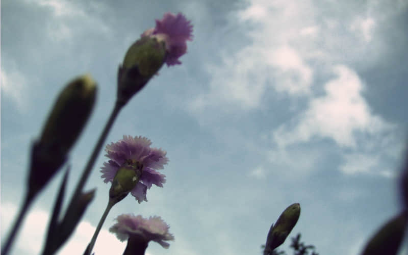 “上班这样发,100%笑死你的朋友圈”_wishdown.com “上班这样发,100%笑死你的朋友圈”_wishdown.com