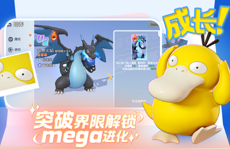 �����Ｏ�ᡷСȭʯ���׹���