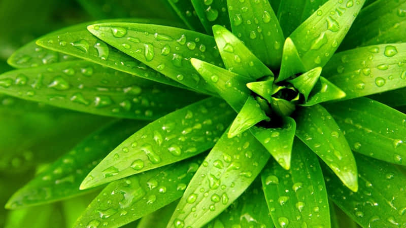 发财人的专属语录,拿一句去旺你的2026年财运_wishdown.com 发财人的专属语录,拿一句去旺你的2026年财运_wishdown.com