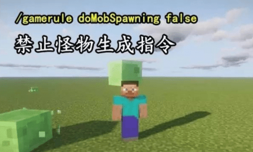 我的世界命令方块指令代码大全2026_wishdown.com 我的世界命令方块指令代码大全2026_wishdown.com