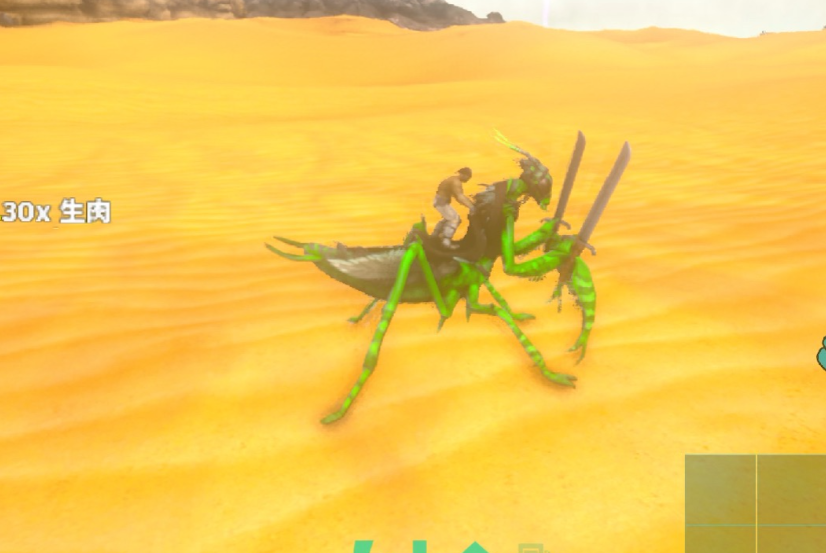 �����ۣ�������������ѱ������