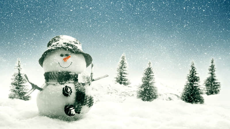 “今日大寒,朋友圈这样发,简单又高级,100%点赞”_wishdown.com “今日大寒,朋友圈这样发,简单又高级,100%点赞”_wishdown.com