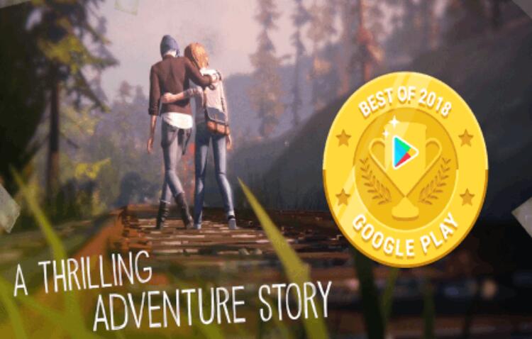 2026�����Լ�ѡ������������Ϸ�ϼ�