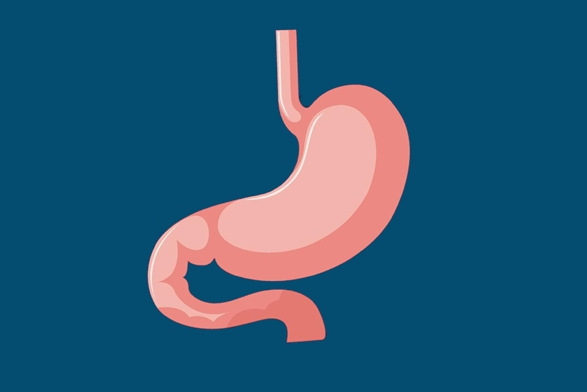 23�격ʿθ������ ��������ʳ�÷���