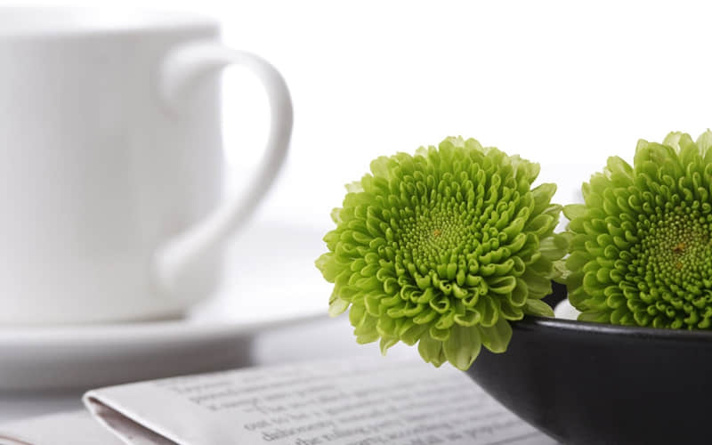 ����ǰ�ղأ�????????��Ϧҹ�����İ���