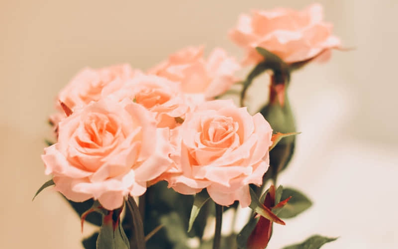 “降温了,拿一句去笑抽朋友圈”_wishdown.com “降温了,拿一句去笑抽朋友圈”_wishdown.com