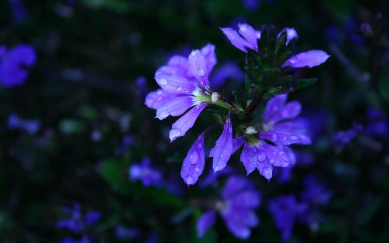 “朋?友?圈?????好文案,一句就够了~??”_wishdown.com “朋?友?圈?????好文案,一句就够了~??”_wishdown.com