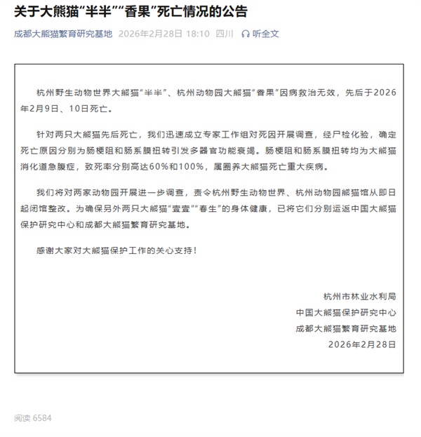 ������ֻ����è����롱��������������� �ٷ����棺�չ�����