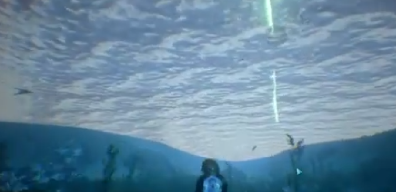 方舟生存进化游戏手机版精英沧龙刷新点_wishdown.com 方舟生存进化游戏手机版精英沧龙刷新点_wishdown.com