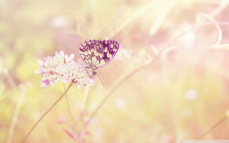 ������������ĺø��ܳ���һ��??��