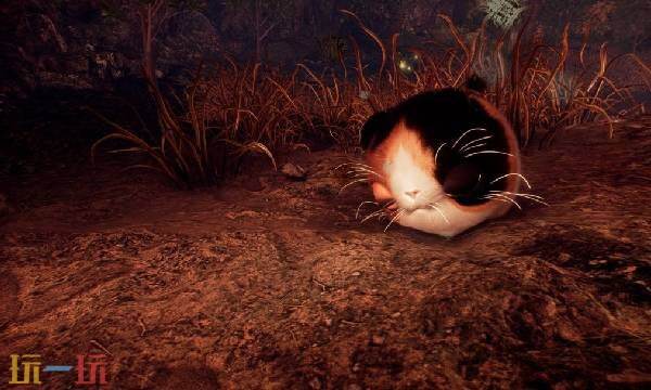 ����Ⱦ������������ɷ���