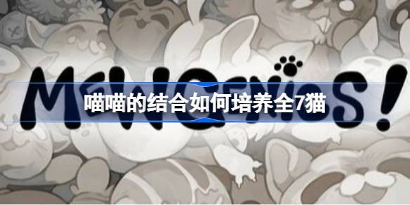 �����Ľ���������ȫ7è