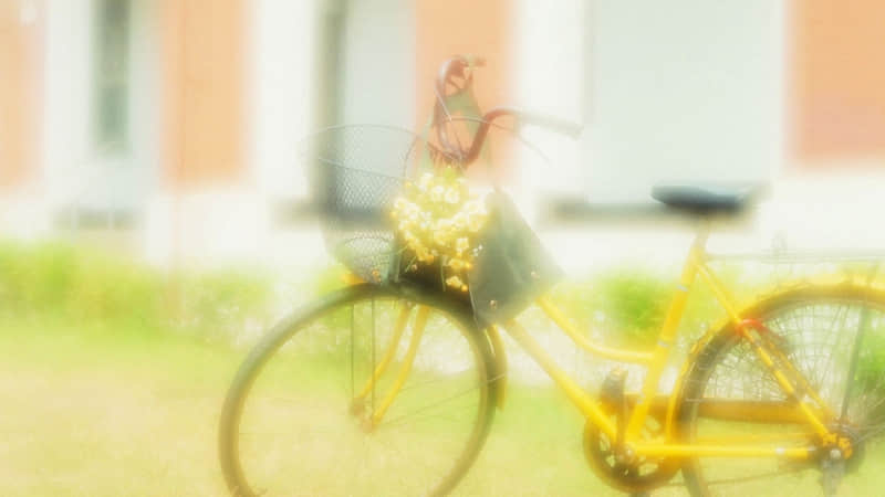 �������ʧȥ�κ��ˣ��κι�ϵ��