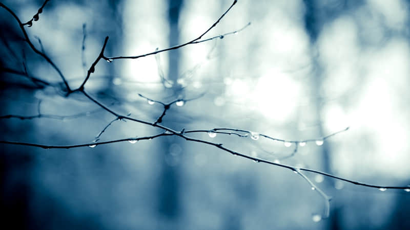 浪漫至极的日出文案_wishdown.com 浪漫至极的日出文案_wishdown.com