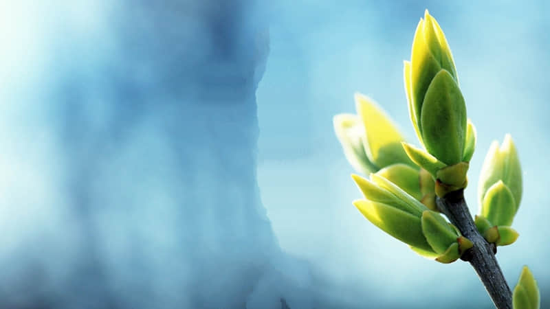 浪漫至极的日出文案_wishdown.com 浪漫至极的日出文案_wishdown.com