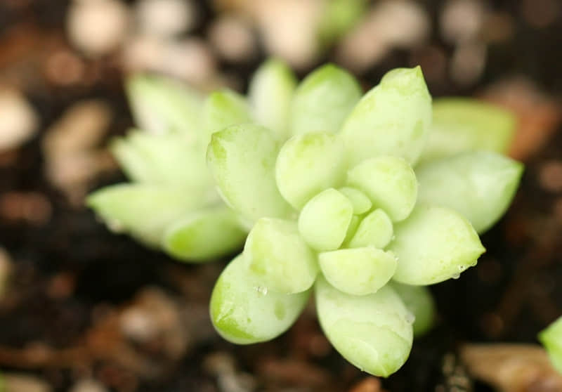 浪漫至极的日出文案_wishdown.com 浪漫至极的日出文案_wishdown.com