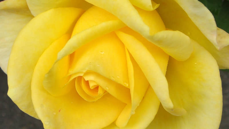 浪漫至极的日出文案_wishdown.com 浪漫至极的日出文案_wishdown.com