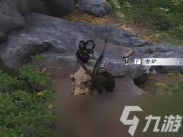 ����ʮ������ӵ�����¿������ô��