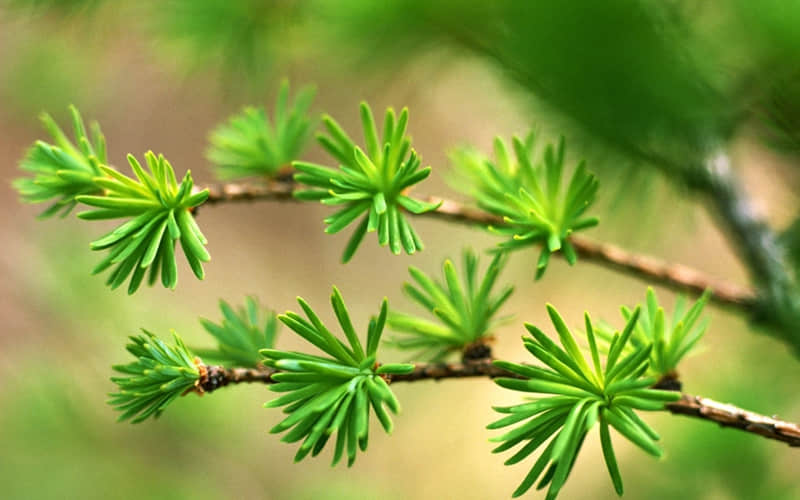 �����Ӻ��࣬�󾢺ܴ�??��?