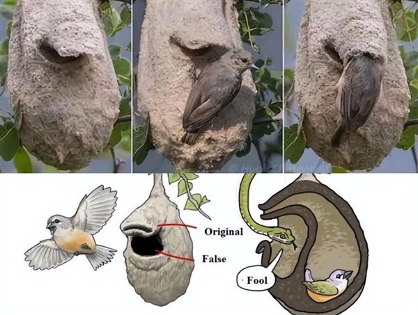 �����������Ѩ���������һ������ ר��������ƭ���ಶʳ��