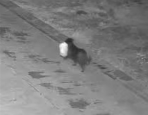 ΪʡǮ��������ӿ�������ҹ�����ֶ����������ձ���