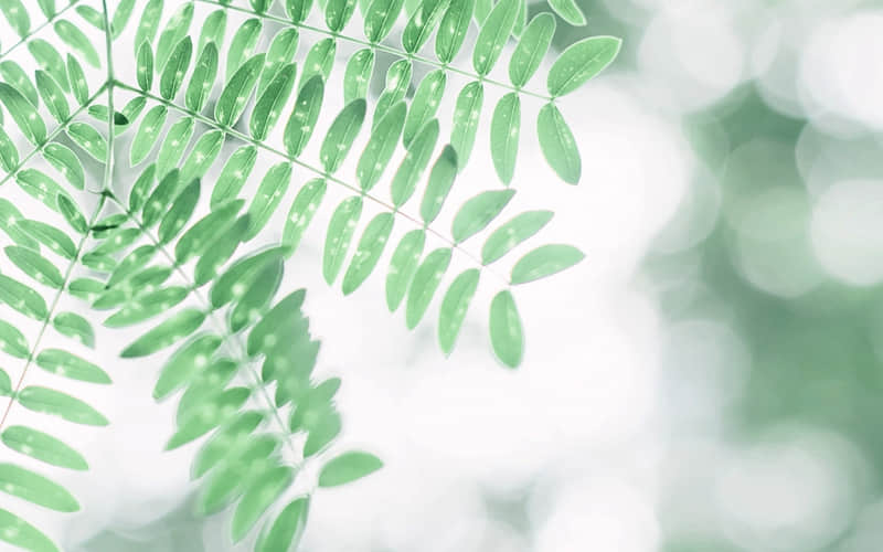 “害我笑了一下午的20句废话??”_wishdown.com “害我笑了一下午的20句废话??”_wishdown.com