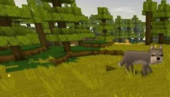 ��������2026������ôѱ��