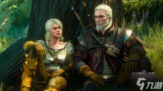 ֪���ɿ���Ϣ��ʿ̸����ʦ3 ���ԡ�DLC ��ȷʵ����