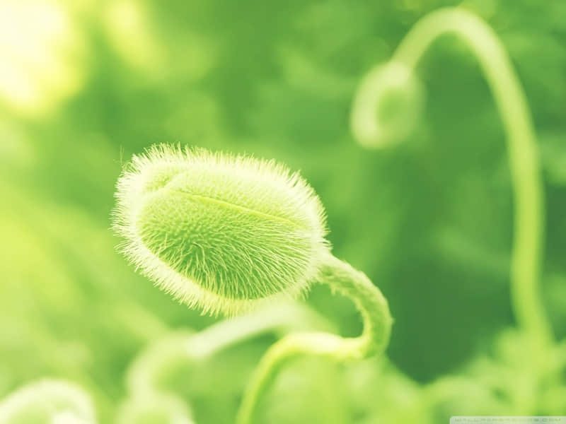 ����һ����ȥ������������ѣ�