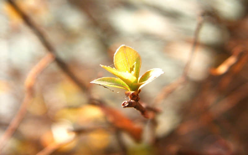 ????????????|??????????好友见面 这样发圈很????.?.?_wishdown.com ????????????|??????????好友见面 这样发圈很????.?.?_wishdown.com