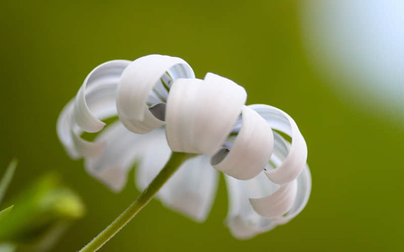 ��???????? ?????????1??����������Ȧ�İ�??��