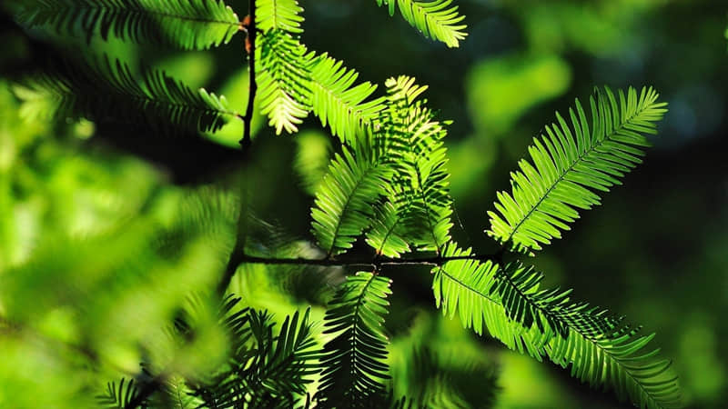 “???????? ?????????1??拉满的朋友圈文案??”_wishdown.com “???????? ?????????1??拉满的朋友圈文案??”_wishdown.com