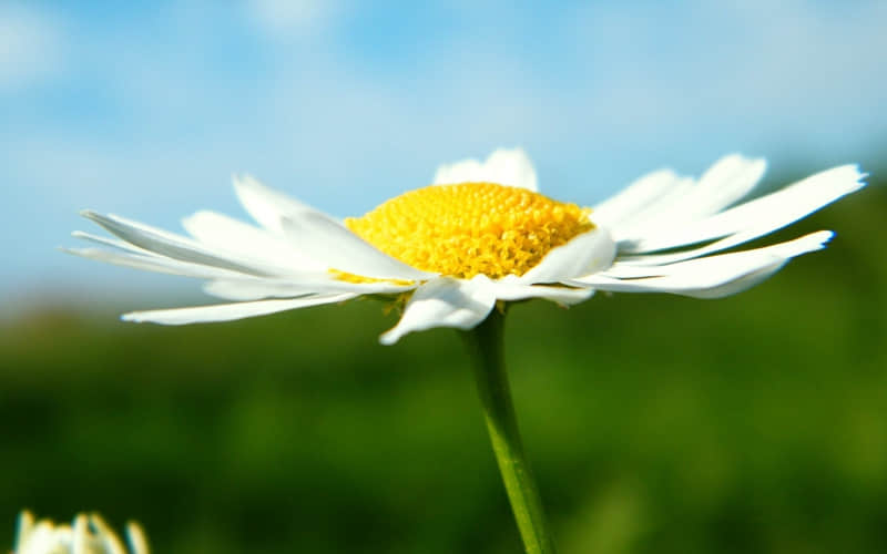 女人大大方方的朋友圈,这样发~_wishdown.com 女人大大方方的朋友圈,这样发~_wishdown.com