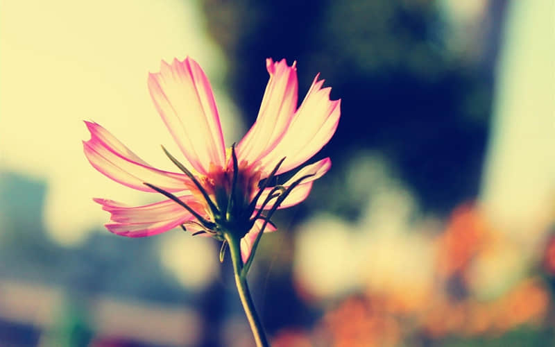 女人大大方方的朋友圈,这样发~_wishdown.com 女人大大方方的朋友圈,这样发~_wishdown.com