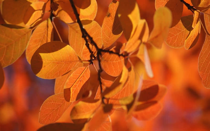 女人大大方方的朋友圈,这样发~_wishdown.com 女人大大方方的朋友圈,这样发~_wishdown.com