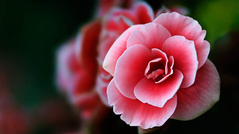 ��?�A??? ��Ư����???????�@? ����Ȧ�İ�?��??��