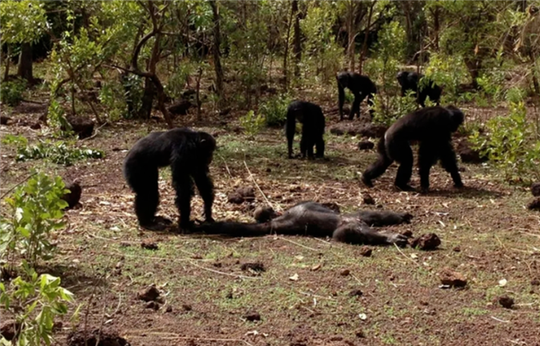 ���Ҫ�����ߺͺ�����֮��ѡһ����Ϊ���� �ĸ�����ʺϣ�