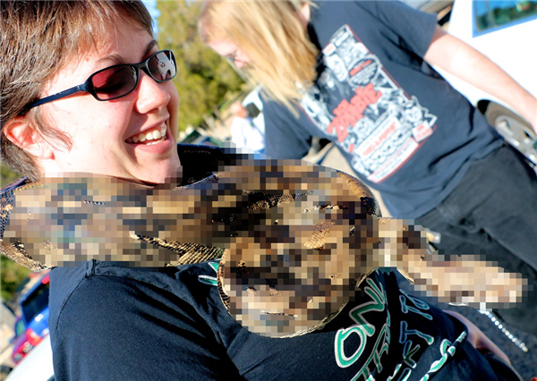 如果要在蟒蛇和黑猩猩之间选一个作为宠物 哪个会更适合?_wishdown.com 如果要在蟒蛇和黑猩猩之间选一个作为宠物 哪个会更适合?_wishdown.com