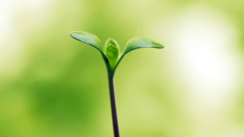 ��ͻȻ��ͷ��������˭���˶����ۡ�