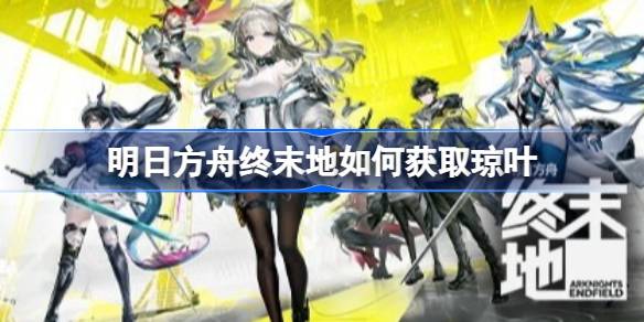 ���շ�����ĩ����λ�ȡ��Ҷ