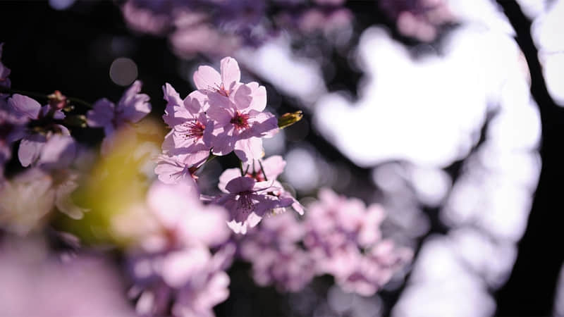 “一个女人的朋友圈这么发,新年马上起飞”_wishdown.com “一个女人的朋友圈这么发,新年马上起飞”_wishdown.com