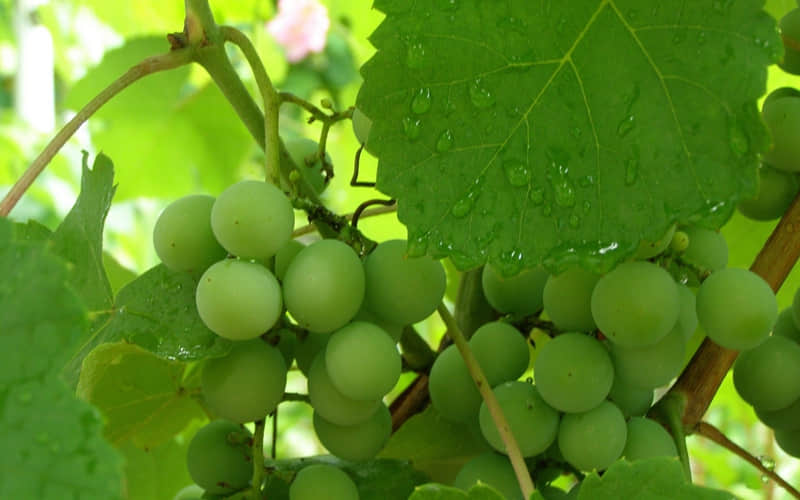 “???????? ??老己,你的文案来了”~_wishdown.com “???????? ??老己,你的文案来了”~_wishdown.com