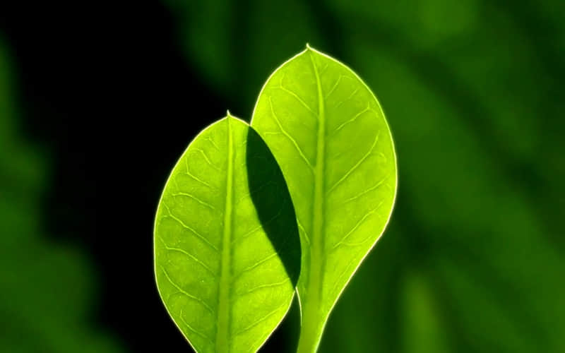 ��???????? ??�ϼ�������İ����ˡ���