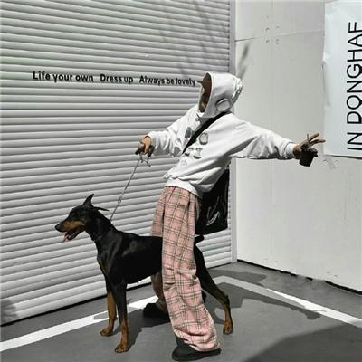 c��ͷ��Ц�ǳ���������(��ѡ100��)